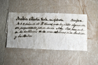 Detalle 1